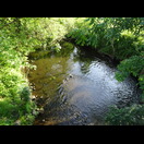 Die Kinzig, der wir seit Schlüchtern folgen